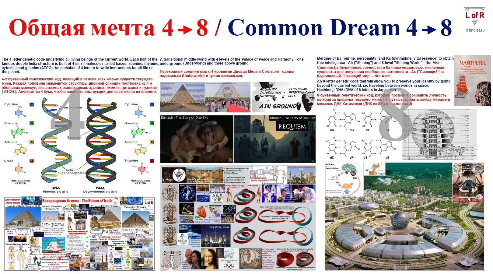 Общая мечта Common Dream 4->8